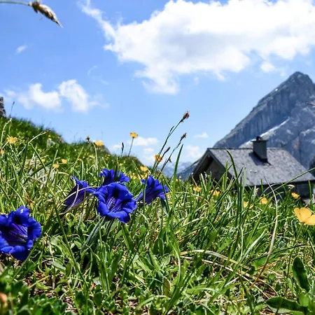 Haus Berggesundzeit Doppelzimmer Watzmannhaus *